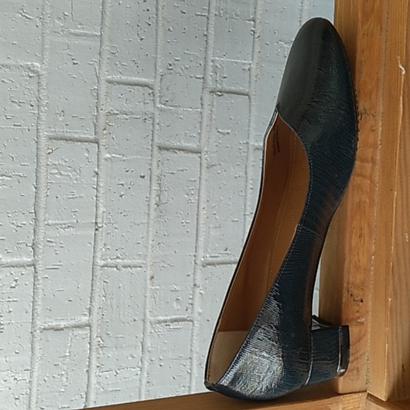 Beautiful Blue Snakeskin J.Renee Bambalina 8.5 M Flats - Picture 2 of 9